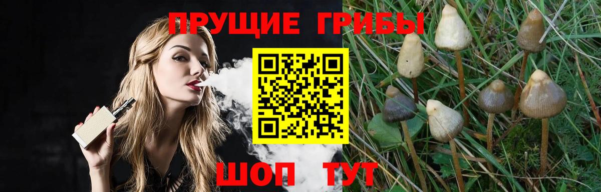 Новоалтайск  Псилоцибиновые грибы Magic Shrooms  Вход с VPN 